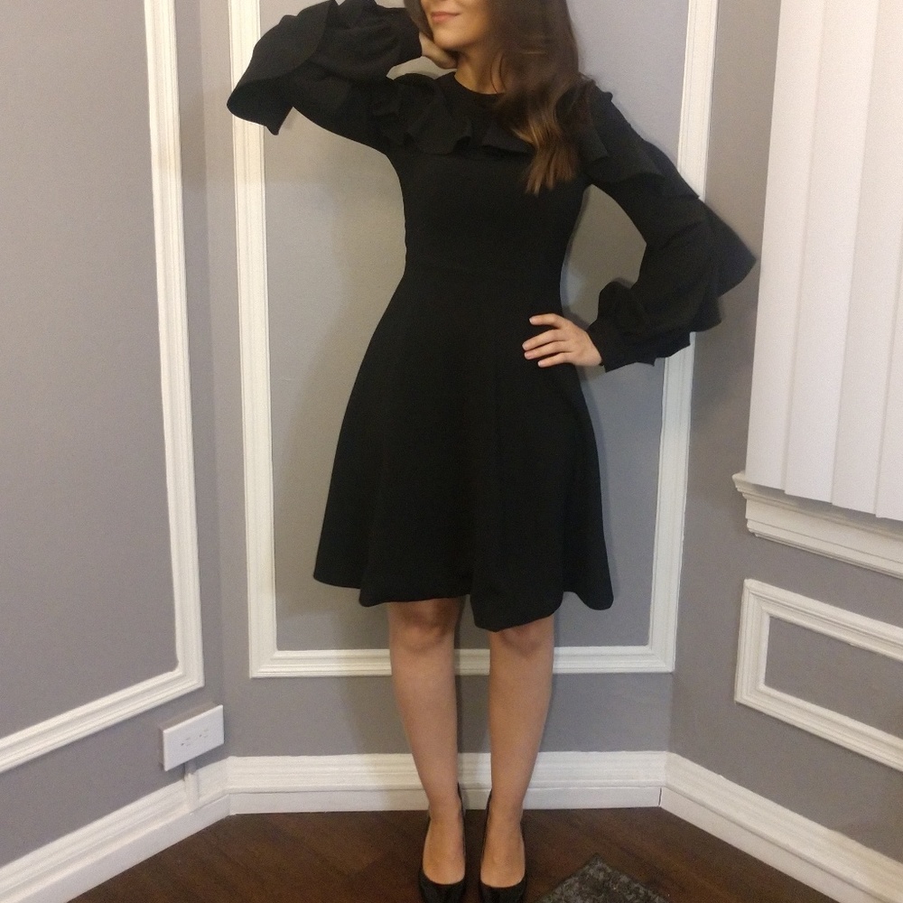 Christian Siriano Dress